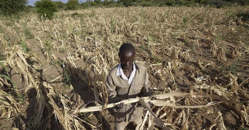 Güney Afrika'da aileler kızlarıyla yiyecek karşılığında evleniyor