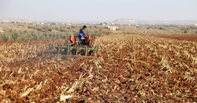 Çiftçiler için 5.5 milyar LIRA destek ödemesi