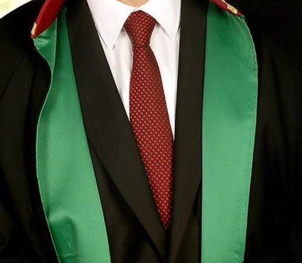 1600 Davada Şok Eden Avukatın Serüveni: Cezası ve Gizli Kimliği!