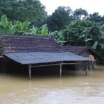 Vietnam’da sel ve heyelanlar nedeniyle yaşamını yitirenlerin sayısı 36’ya çıktı