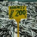 Tezgahların en hesaplı balığı: Kilosu 200 TL’yi buldu!