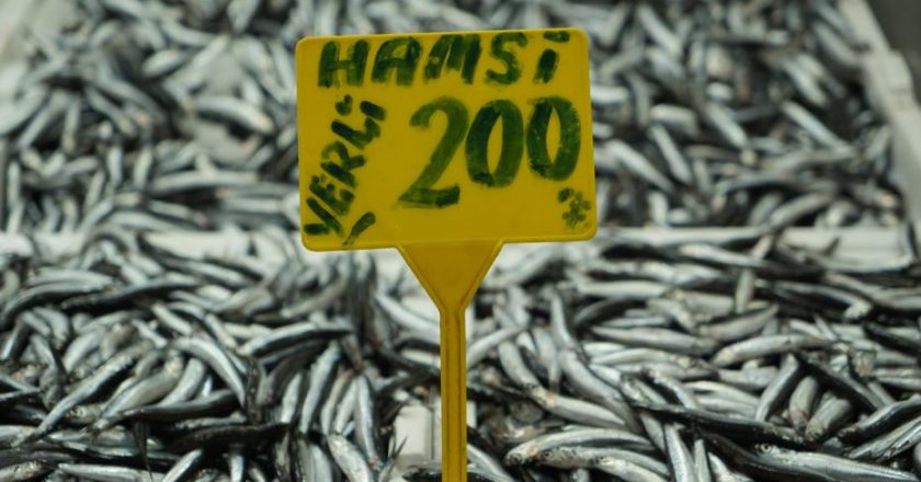 Tezgahların en hesaplı balığı: Kilosu 200 TL’yi buldu!